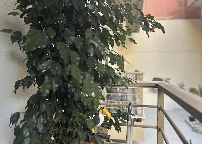 Διαμέρισμα Marina