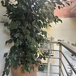Appartement Marina